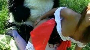 Young Red Riding Hood Fucking With Panda In The Wood - county Young on galpictures.com